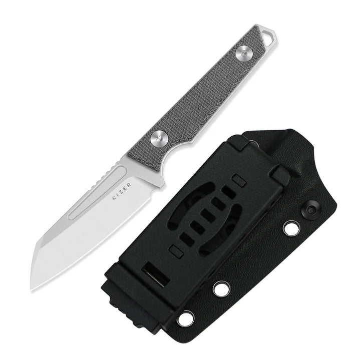 Kizer Phasmids 1079A3