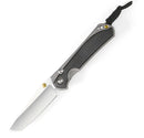 Chris Reeve Large Sebenza 31 Bog Oak Tanto Magnacut Glass Blasted L31-1130