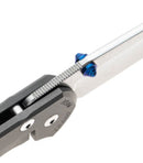 Chris Reeve Large Sebenza 31 Glass Blasted Magnacut Double Thumb Lug L31-1644-001